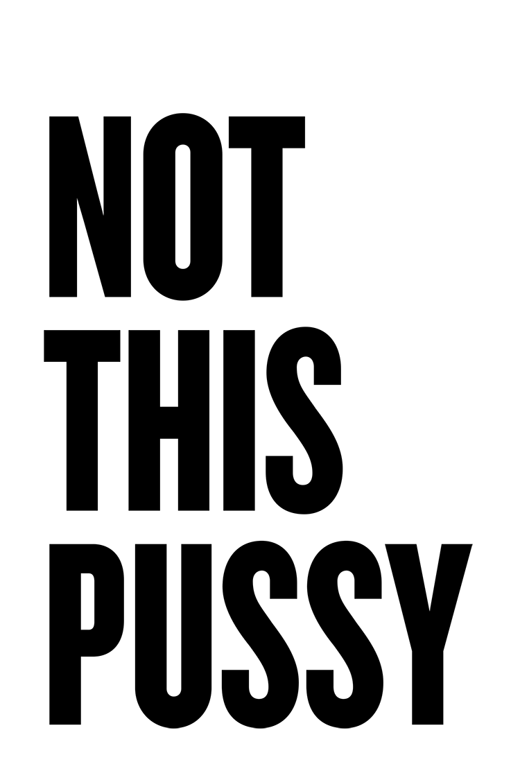 NOT THIS PUSSY protest poster